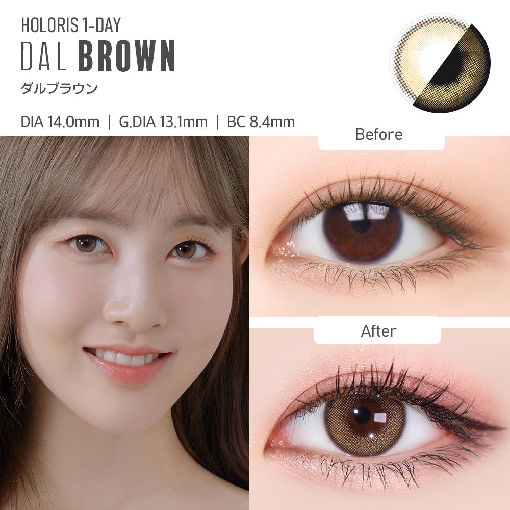 Holoris 1day  DAL BROWN 韓国カラコン【1箱10枚入り】